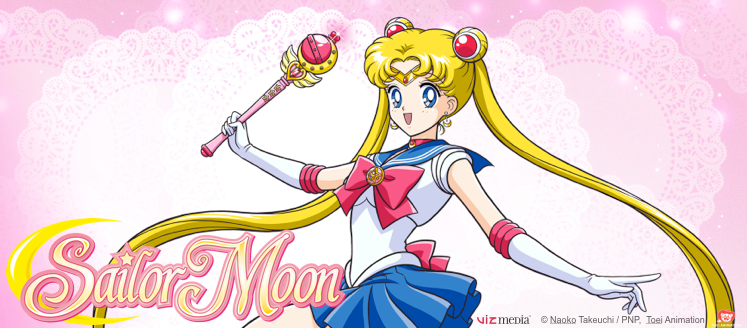 Sailor Moon Survey Leader Board Image