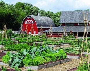 Seed Savers Exchange