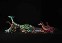 Justine Anderson, Magic birds 2026