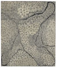 Sabrina Nangala Robertson, Ngapa Jukurrpa (Water Dreaming) 2026